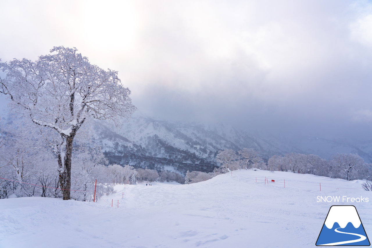 キロロリゾート｜降り出したら早いキロロ。積雪は、200cmに到達！X'mas＆年末年始に向けてコンディション急上昇(*^^)v